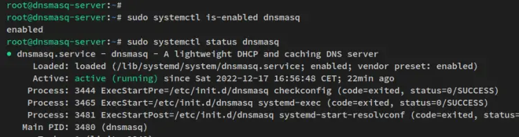 verify dnsmasq