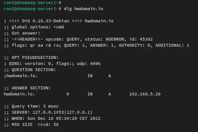 testing with dig command