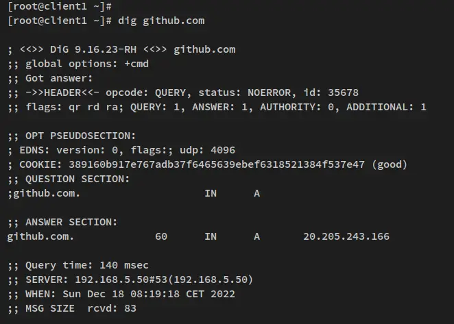 verify dns internet