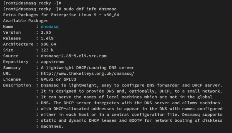 dnsmasq info