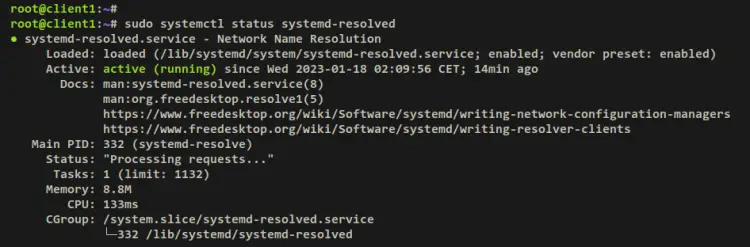 verify systemd-resolved