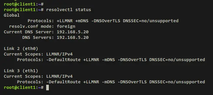verify dns resolver