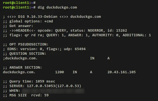 dig to duckduckgo.com