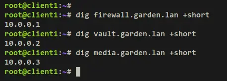 verify local domain