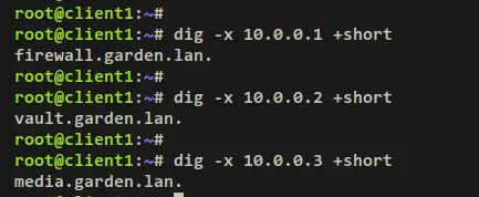verify ptr record