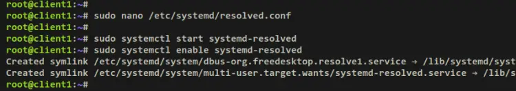 setup systemd-resolved