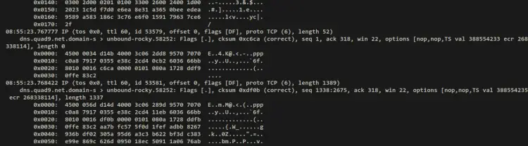 verify DNS-over-TLS tcpdump