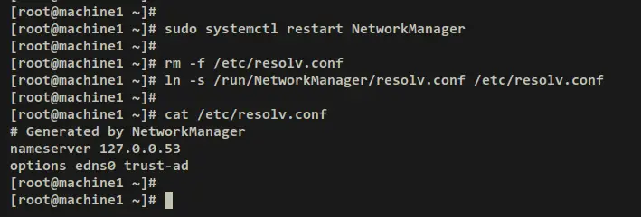 dns resolver via systemd-resolved