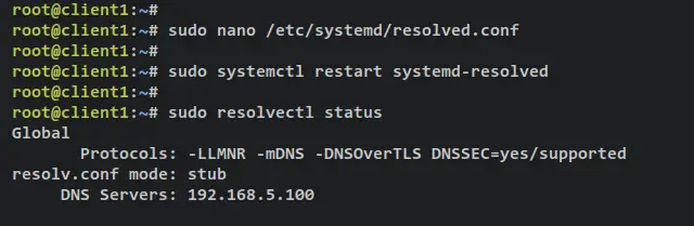 dns resolver systemd resolved