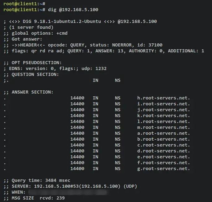 verify dig dns server