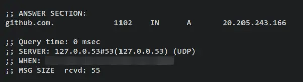 dns cache verify