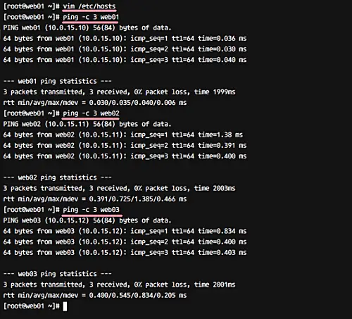 Check server interconnection with ping