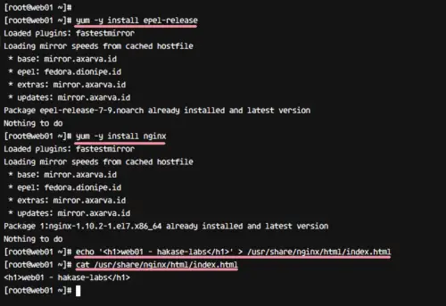 Install epel repo and nginx