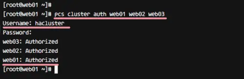 Create and Configure the Cluster