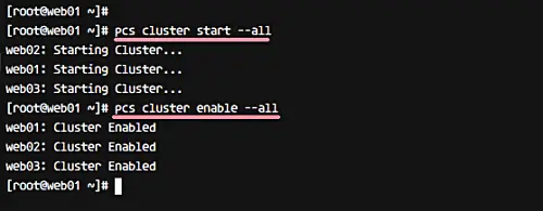 Start the cluster