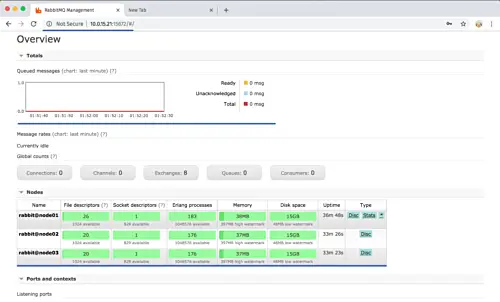 RabbitMQ Dashboard