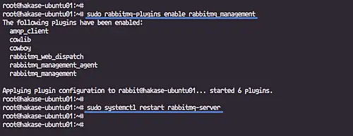 Enable RabbitMQ Management Plugins