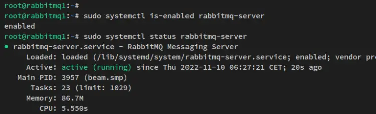 check rabbitmq service