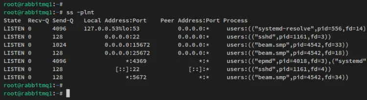 verify port