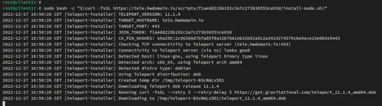 run installer script on client1