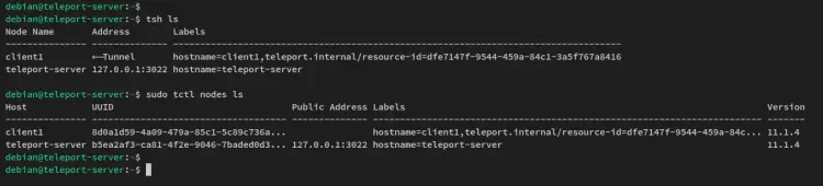 verify via cli