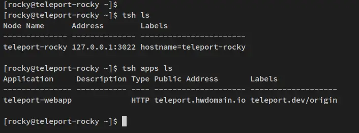 verify teleport app and list nodes