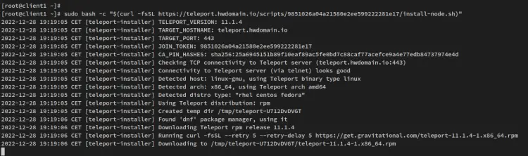 setup via installer script