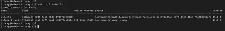 verify via cli