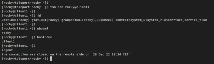 verify tsh login