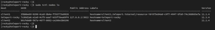 verify teleport cli