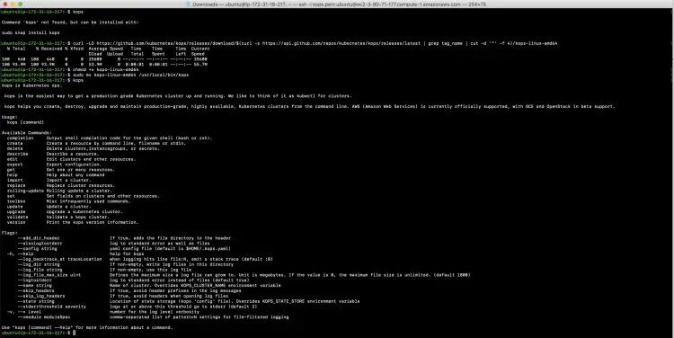 Install Kops on the EC2 instance