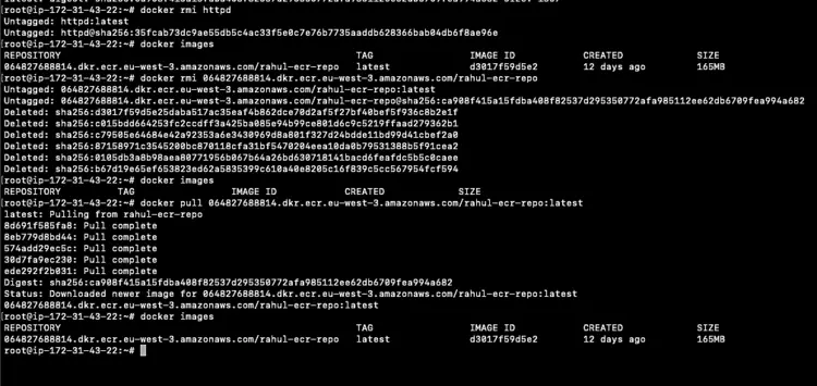 pull the Image from ECR repo