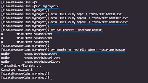 Commit documents to svn