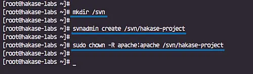 Configure SVN repository