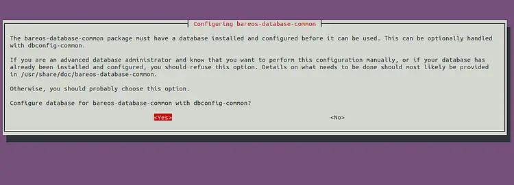 Configure the database
