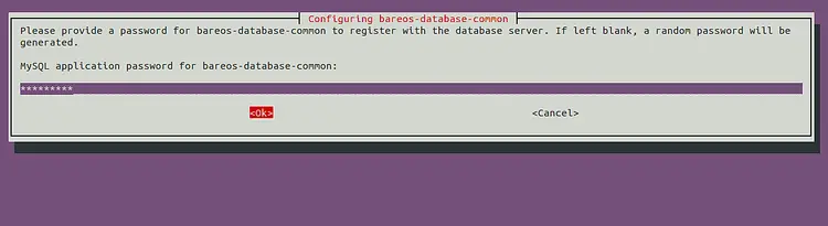 MySQL application password