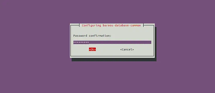 Confirm the password