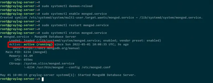 start and verify mongodb