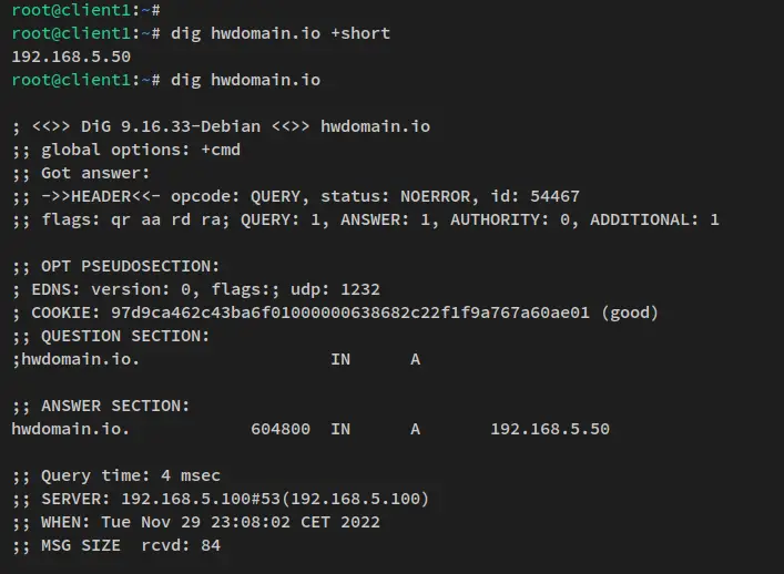 verify domain