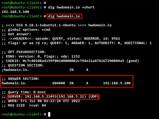 check dns records dig