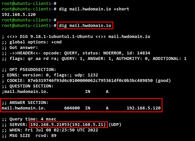 check dns record using dig
