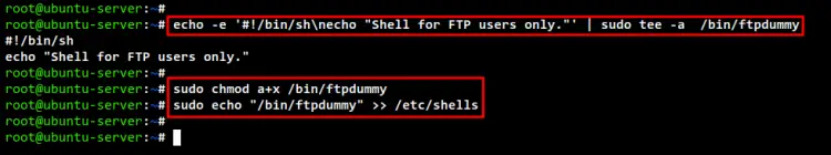 setup dummyshell