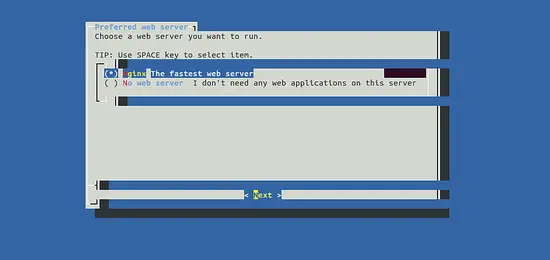 Choose web server