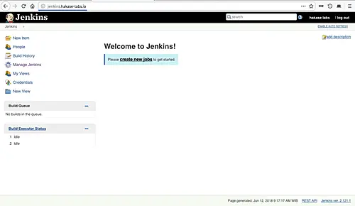 Install Jenkins Master