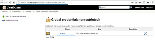 Jenkins credential with ssh auth key method have been created