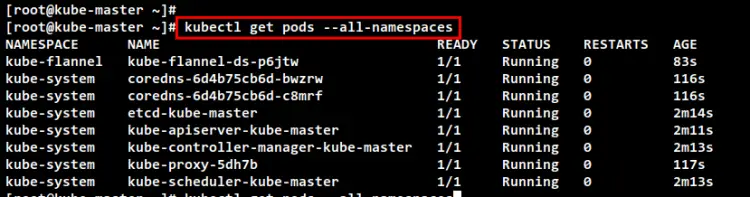 check pods kubernetes