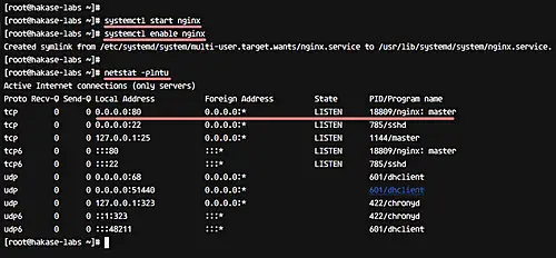 Start and check Nginx web server