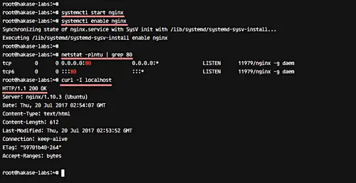 Check ports with netstat