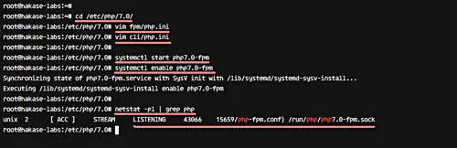 Check PHP-FPM process