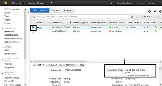 Public DNS value of the VM